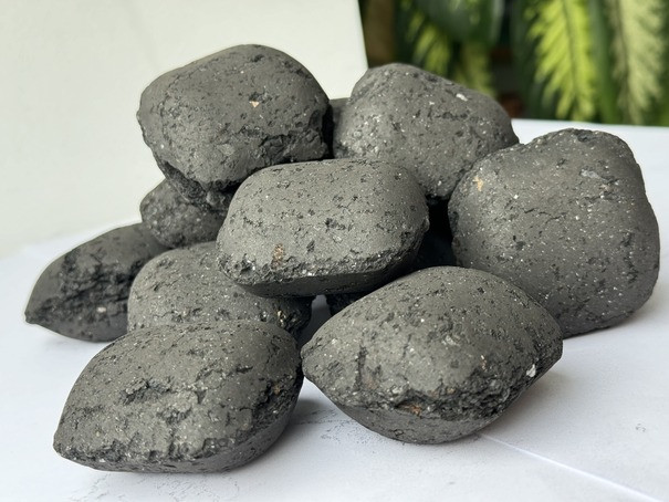 Briquettes de charbon de bois